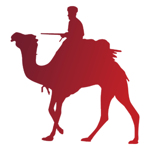 Camel Ride